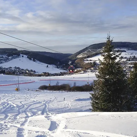 Jaeger Willingen (Upland)