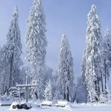 Fewo Jager * Willingen (Upland)